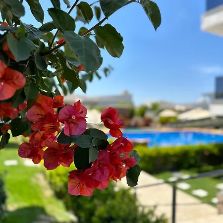 No 48 Alacati Bed & Breakfast *